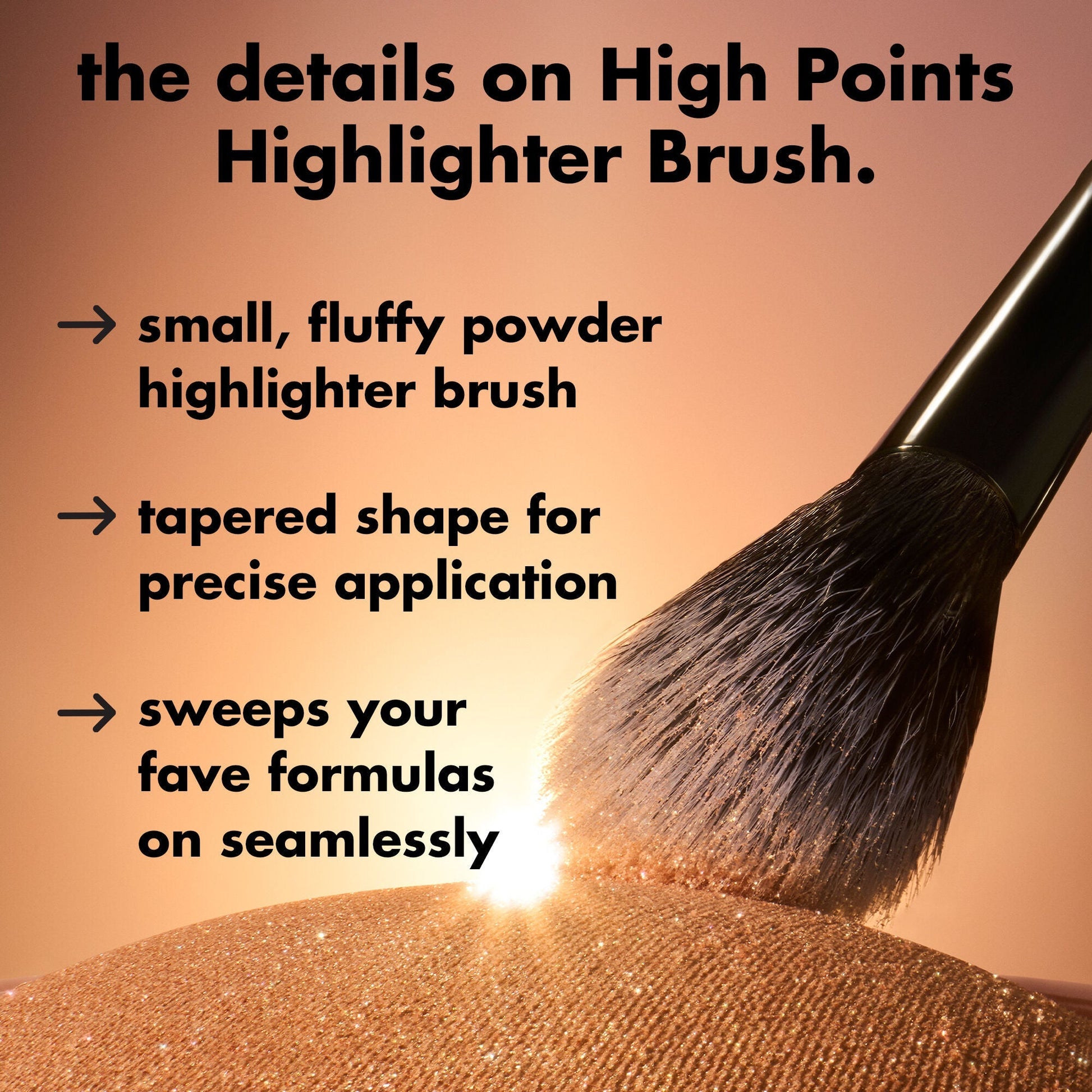 high-points-highlighter-brush-z6 0226_EDU_HighpointsHighlighterBrush_Details.jpg