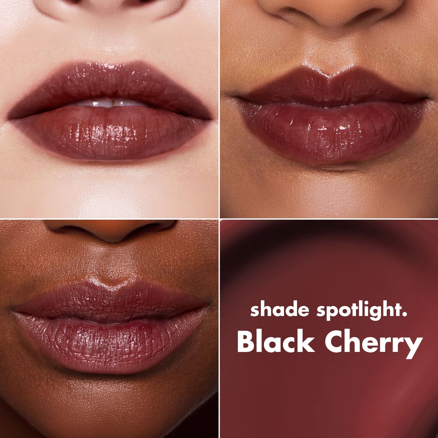 lip-lacquer-z3 0426_EDU_LipLaquer_ShadeChart_BlackCherry.jpg