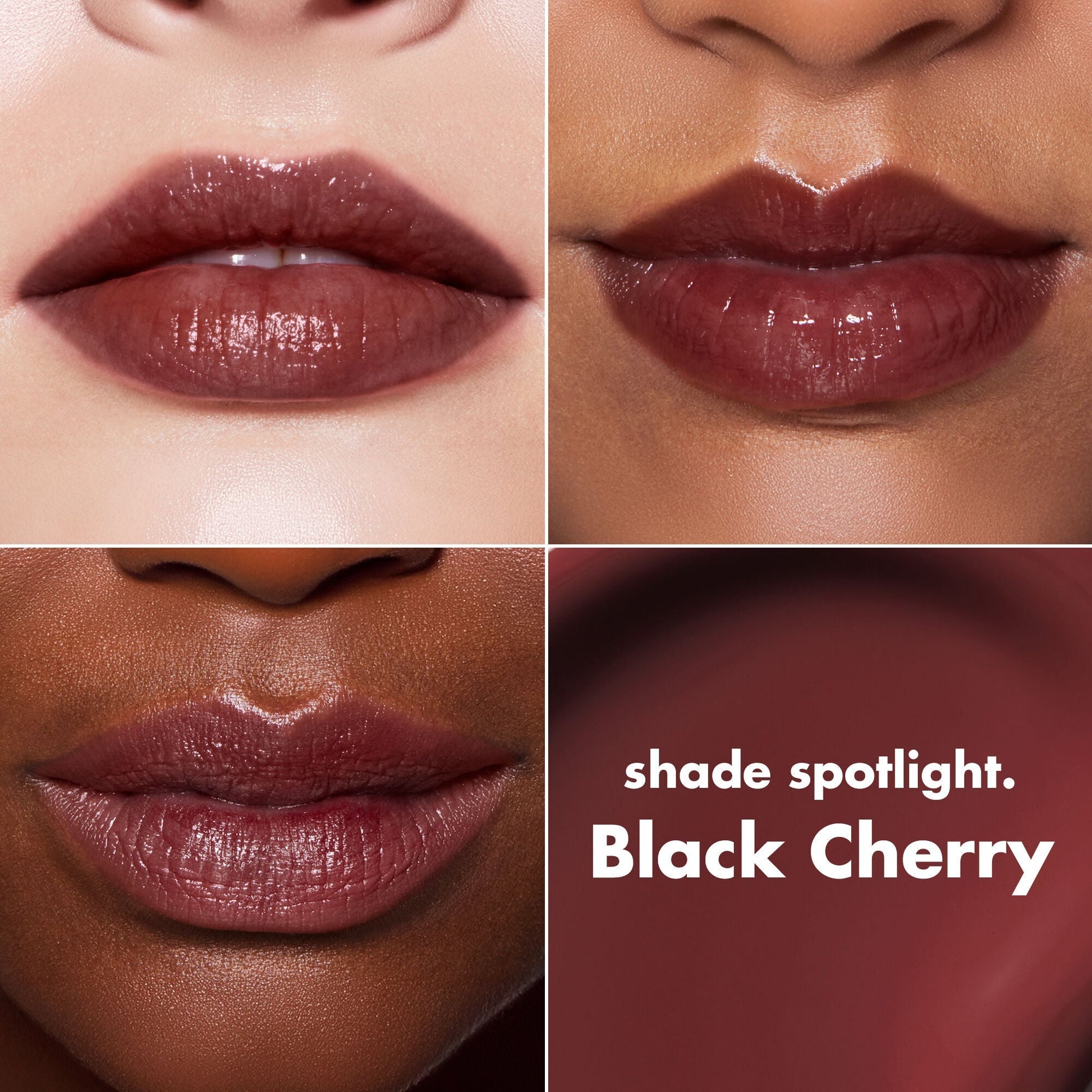lip-lacquer-z3 0426_EDU_LipLaquer_ShadeChart_BlackCherry.jpg